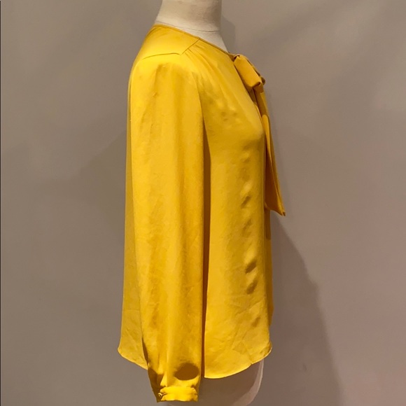 Zara Flowy Semi-Sheer Blouse - Picture 5 of 5